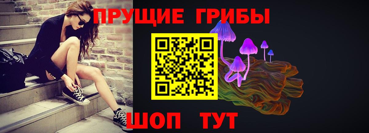 Галлюциногенные грибы GOLDEN TEACHER  Вход с VPN  что такое наркотик  Новоалександровск  Галлюциногенные грибы Psilocybe 